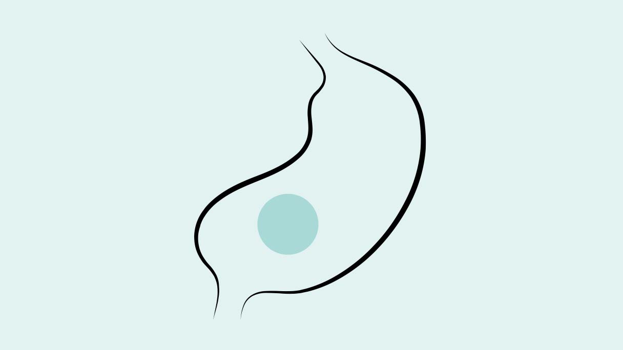 Sindirim sistemi belirtileri