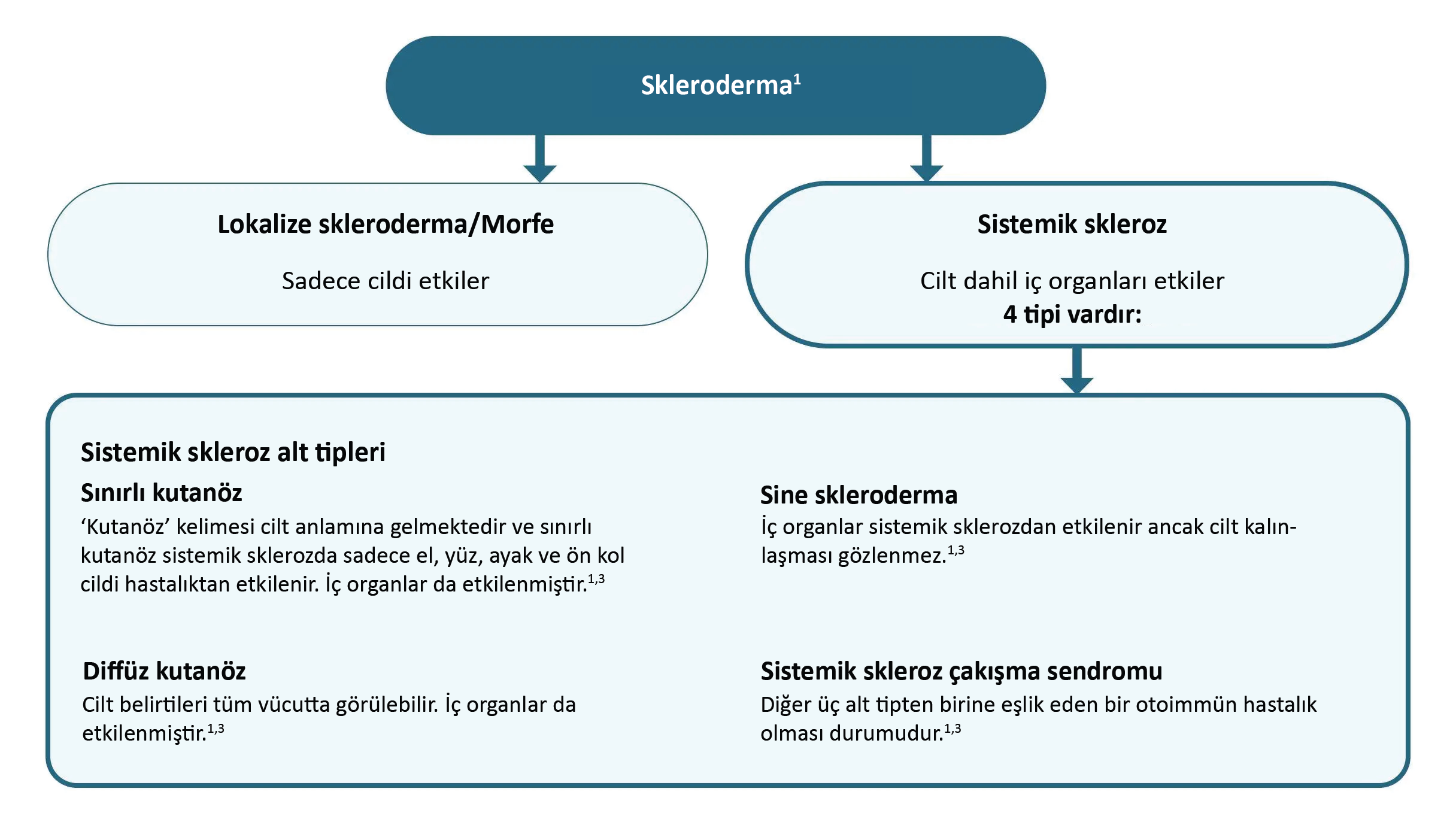 2-0-the-scleroderma-family-of-diseases.png
