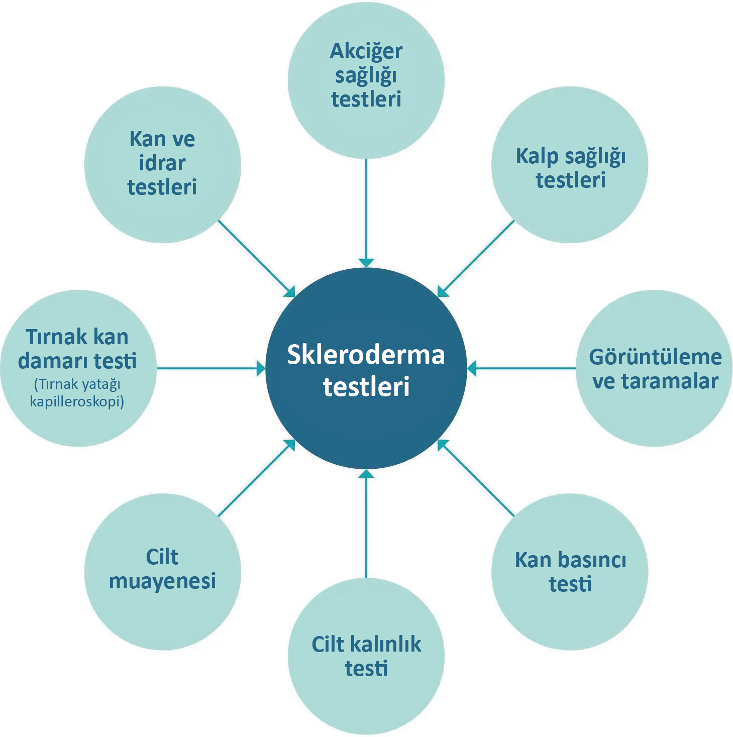 2-3-testing_scleroderma_diagram