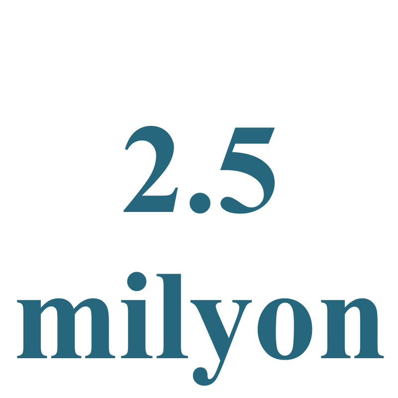 2.5 milyon 1.png
